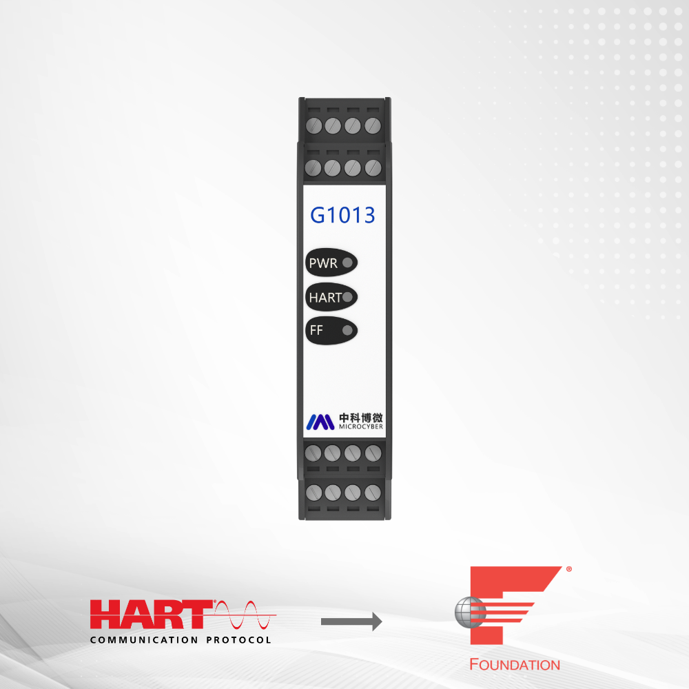 G1013 G1013