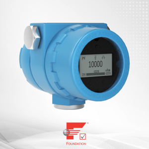 NCS-TT105F Полевой двухканальный термодатчик с протоколом FF